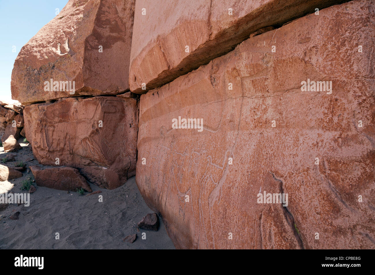 Petroglifo di grandi dimensioni di llama nel telecomando Quezala burrone, vicino Talabra, il Deserto di Atacama, Cile Foto Stock