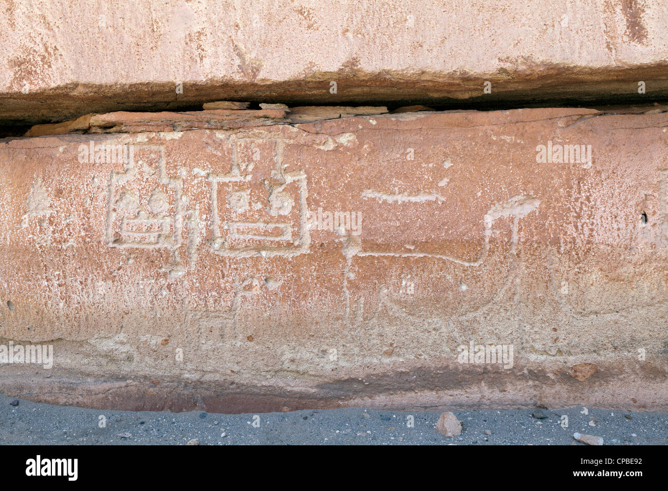 Petroglyph di llama e dèi nel telecomando Quezala burrone, vicino Talabra, il Deserto di Atacama, Cile Foto Stock