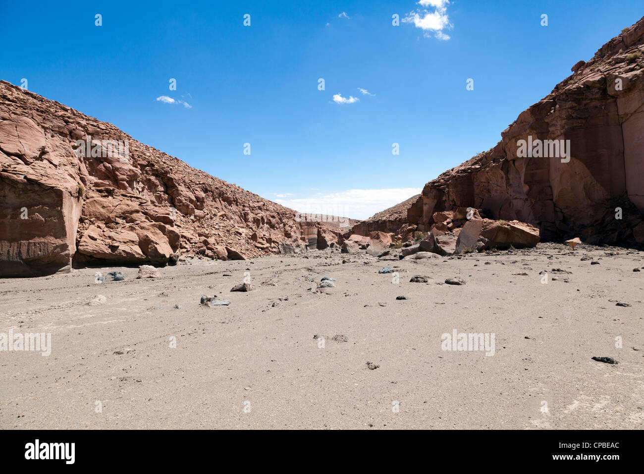 Il fango da inondazioni nel telecomando Quezala burrone, vicino Talabra, il Deserto di Atacama, Cile Foto Stock