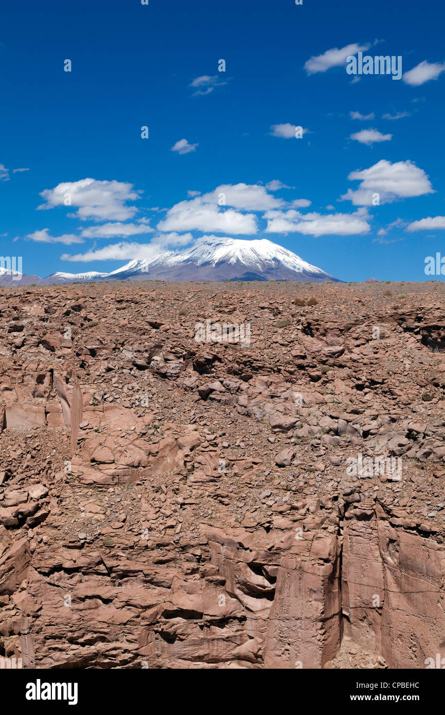 Vista attraverso il telecomando Quezala burrone, vicino Talabra, il Deserto di Atacama, Cile Foto Stock