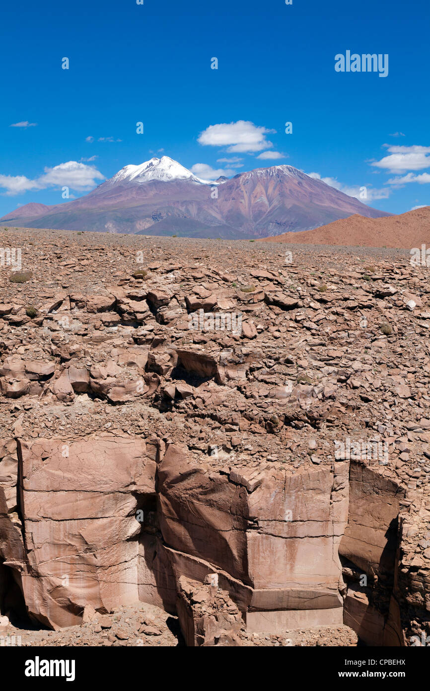 Vista sul telecomando Quezala burrone, vicino Talabra, il Deserto di Atacama, Cile Foto Stock