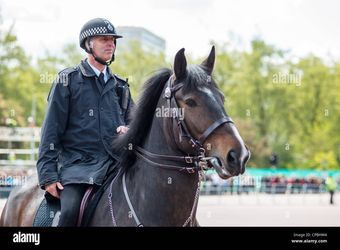 Londra poliziotto a cavallo a Buckingham palace. Londra. In Inghilterra. Foto Stock