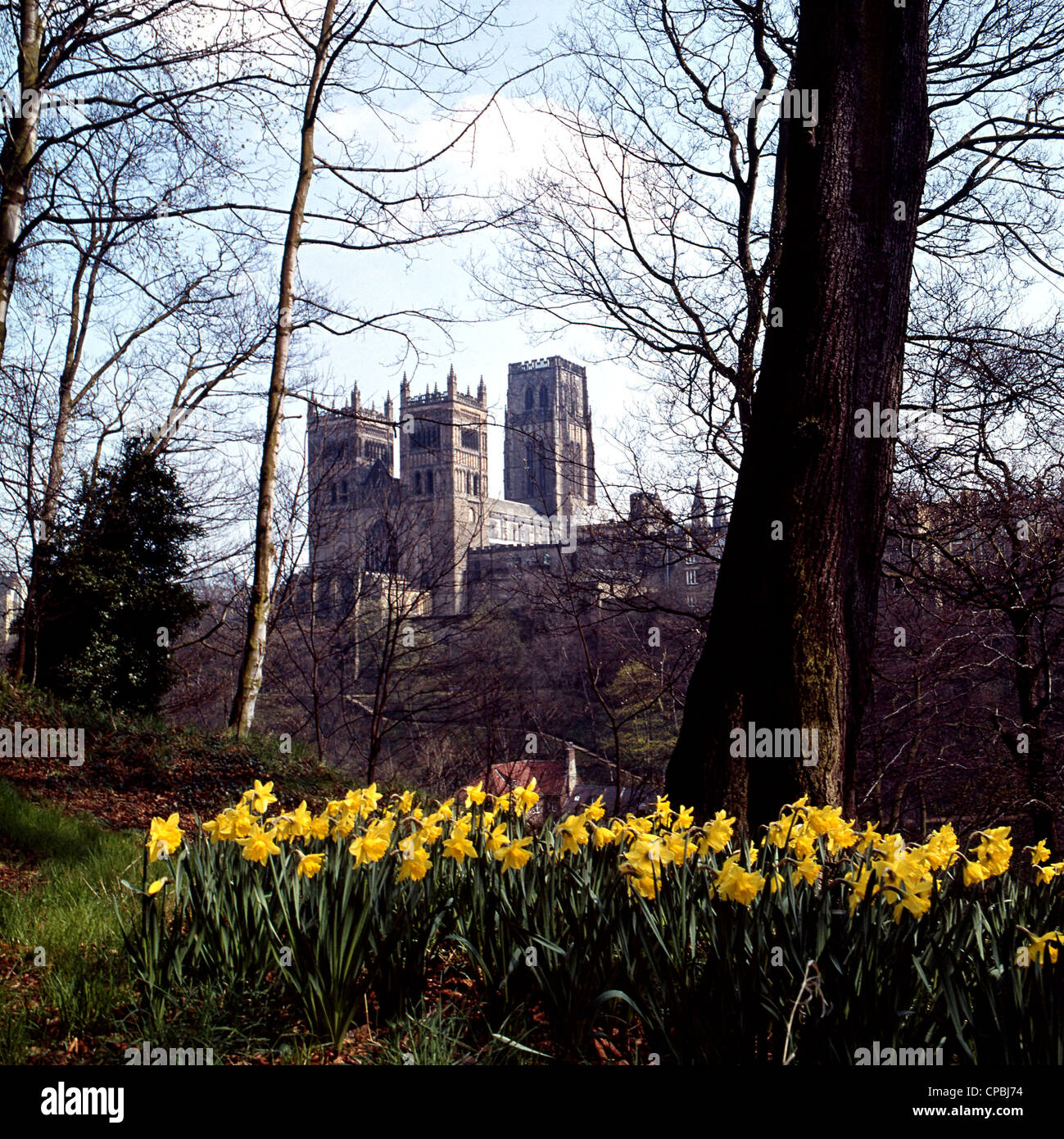 Inizio daffs fuori la Cattedrale di Durham, Durham Foto Stock