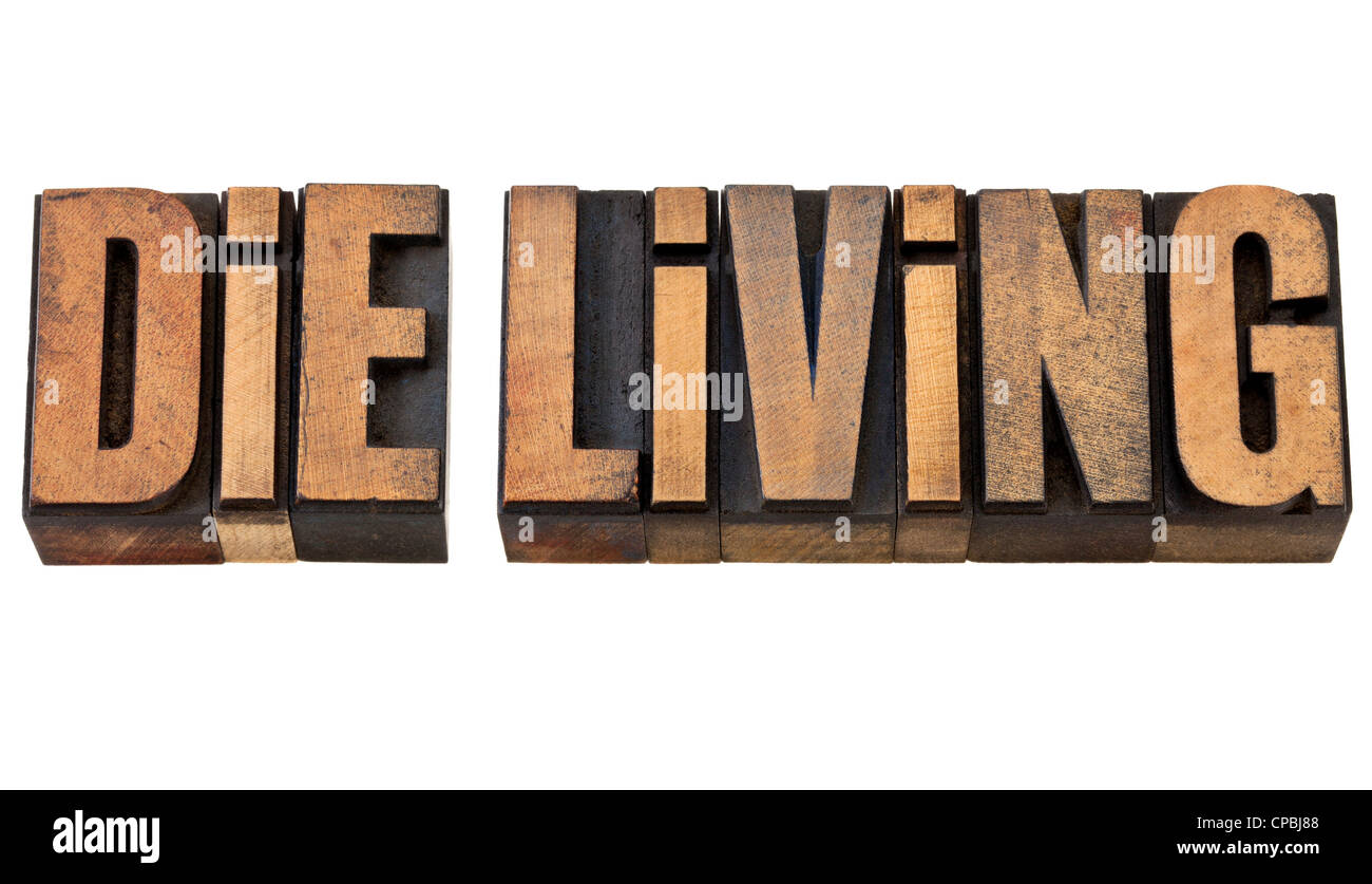 Die vivere consigli - testo isolato in rilievografia vintage tipo legno Foto Stock