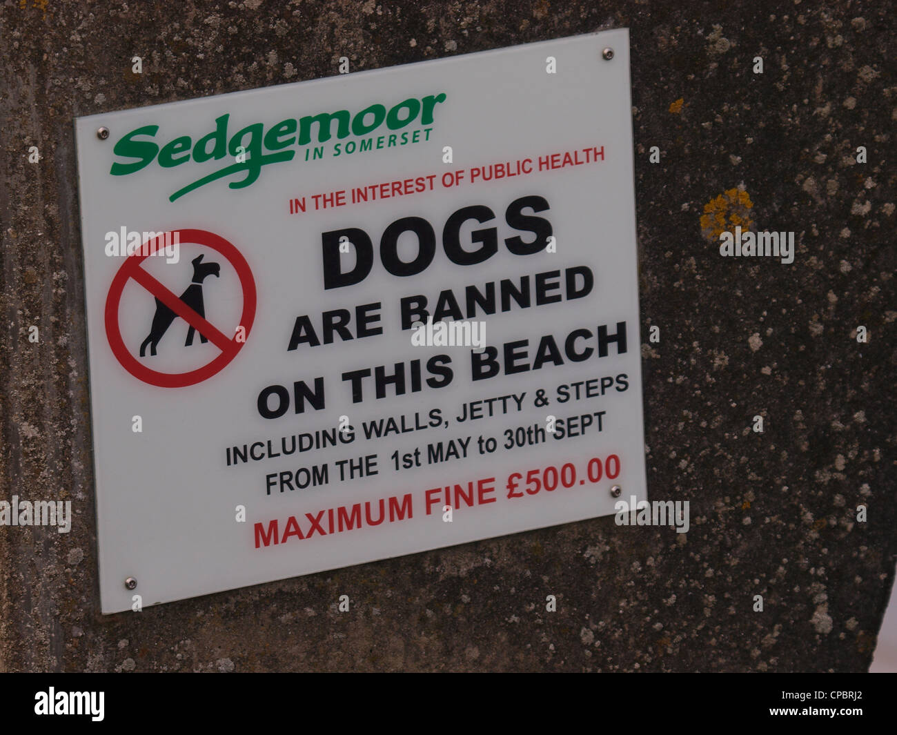 Cani vietati dalla spiaggia segno, Burnham-on-Sea, Somerset, Regno Unito Foto Stock