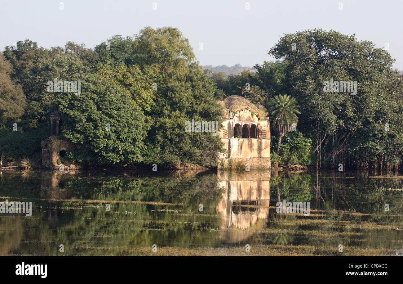 Paesaggio presso il Parco nazionale di Ranthambore in Rajasthan, India Foto Stock