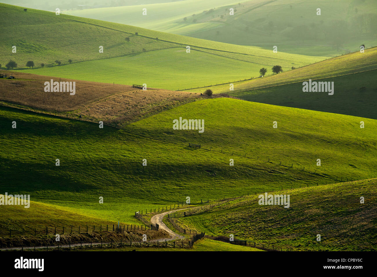 South Downs National Park, East Sussex, Inghilterra. Foto Stock