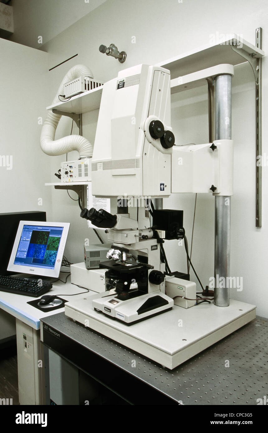 Microscopio confocale laser immagini e fotografie stock ad alta ...