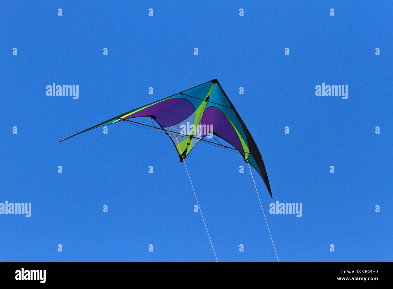 Aquiloni contro un chiaro, blu cielo senza nuvole. Foto Stock