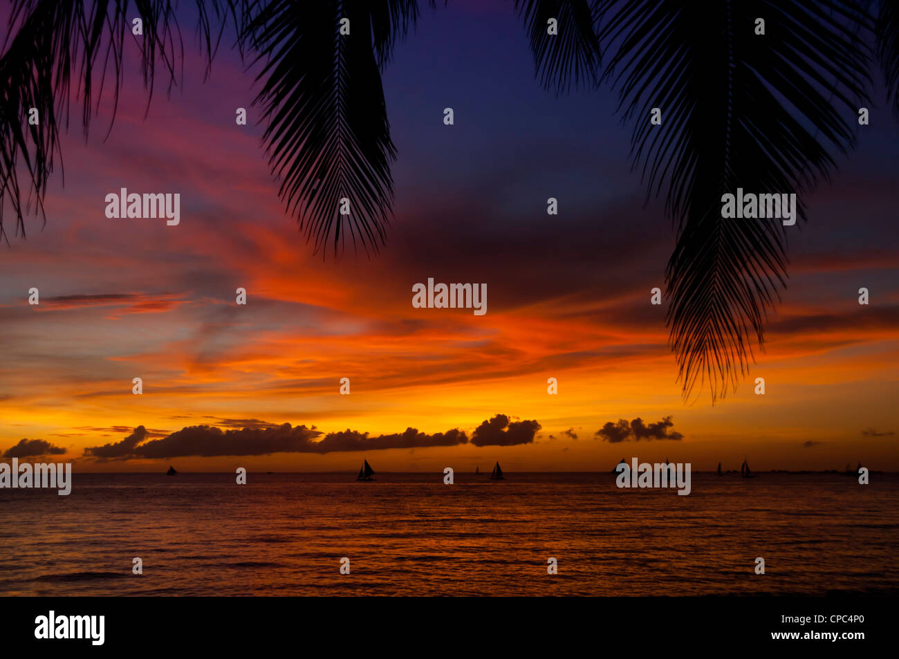 Bellissimo tramonto tropicale con Palm tree silhouette Foto Stock