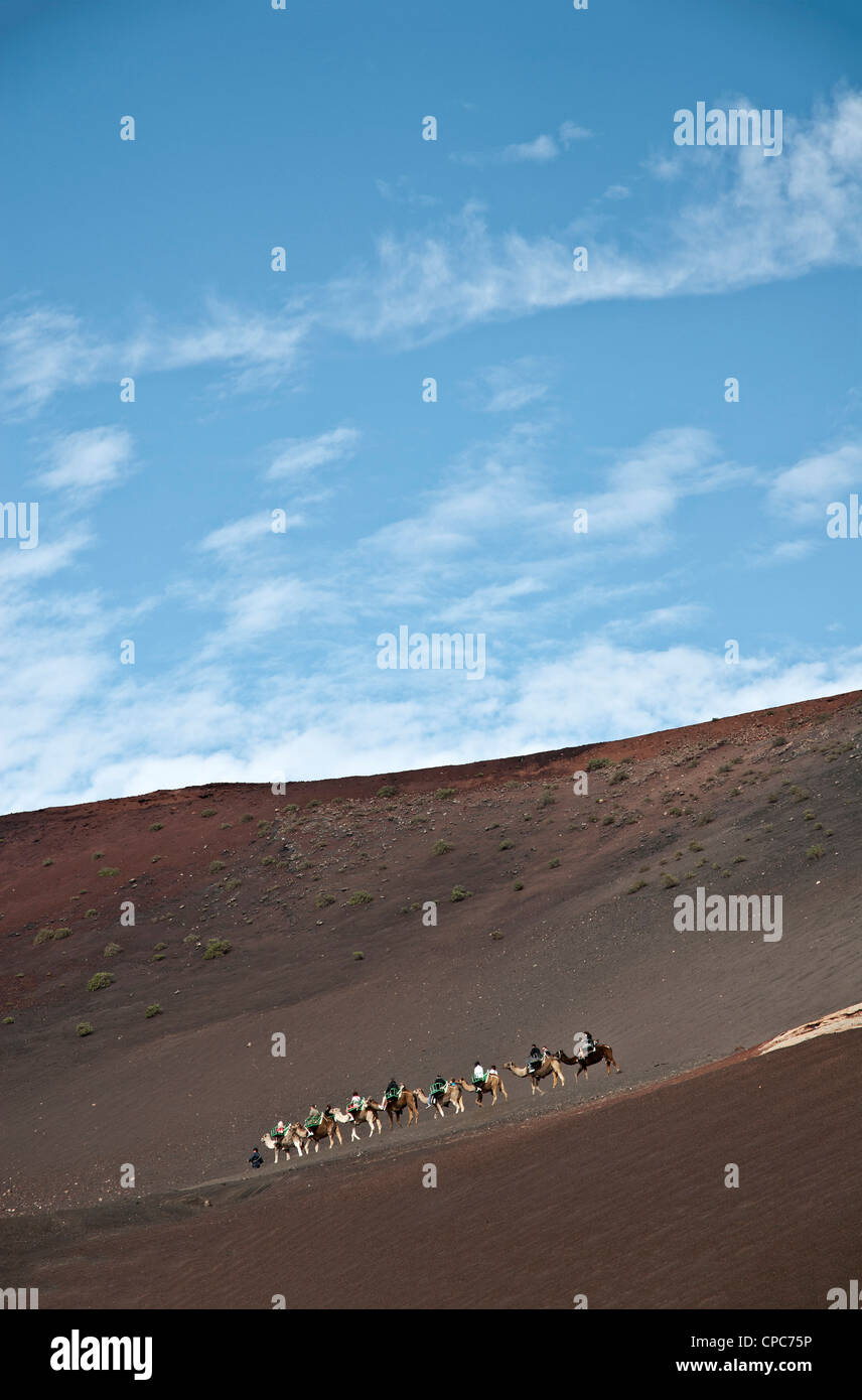 A cavallo di cammelli come attrazione turistica nel Parco Nazionale di Timanfaya sull'isola di Lanzarote. Foto Stock