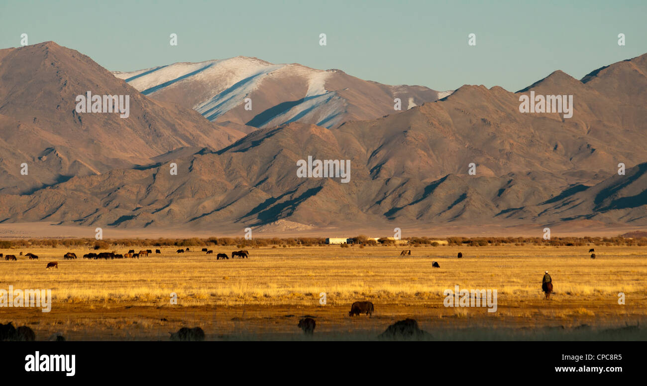 Gamma bella paese di Altai regione del Bayan-Ölgii in Mongolia occidentale Foto Stock