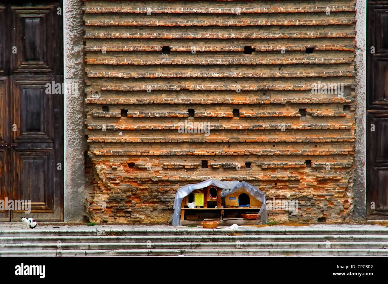 Venezia, Italia : i volontari hanno costruito un rifugio per i gatti randagi. Foto Stock