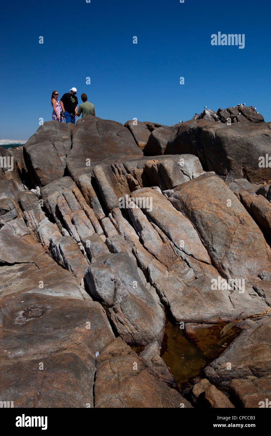 Tre persone in piedi la distanza sulla parte superiore delle rocce di grandi dimensioni, presso la West Coast National Park, Sud Africa Foto Stock