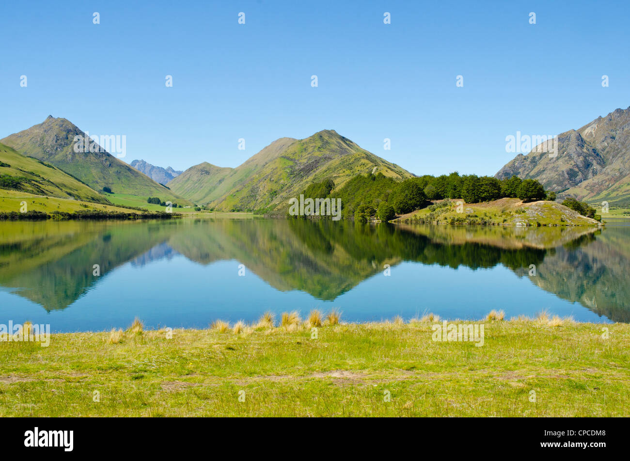 Fuma vicino Lago Queenstown Isola del Sud della Nuova Zelanda Foto Stock