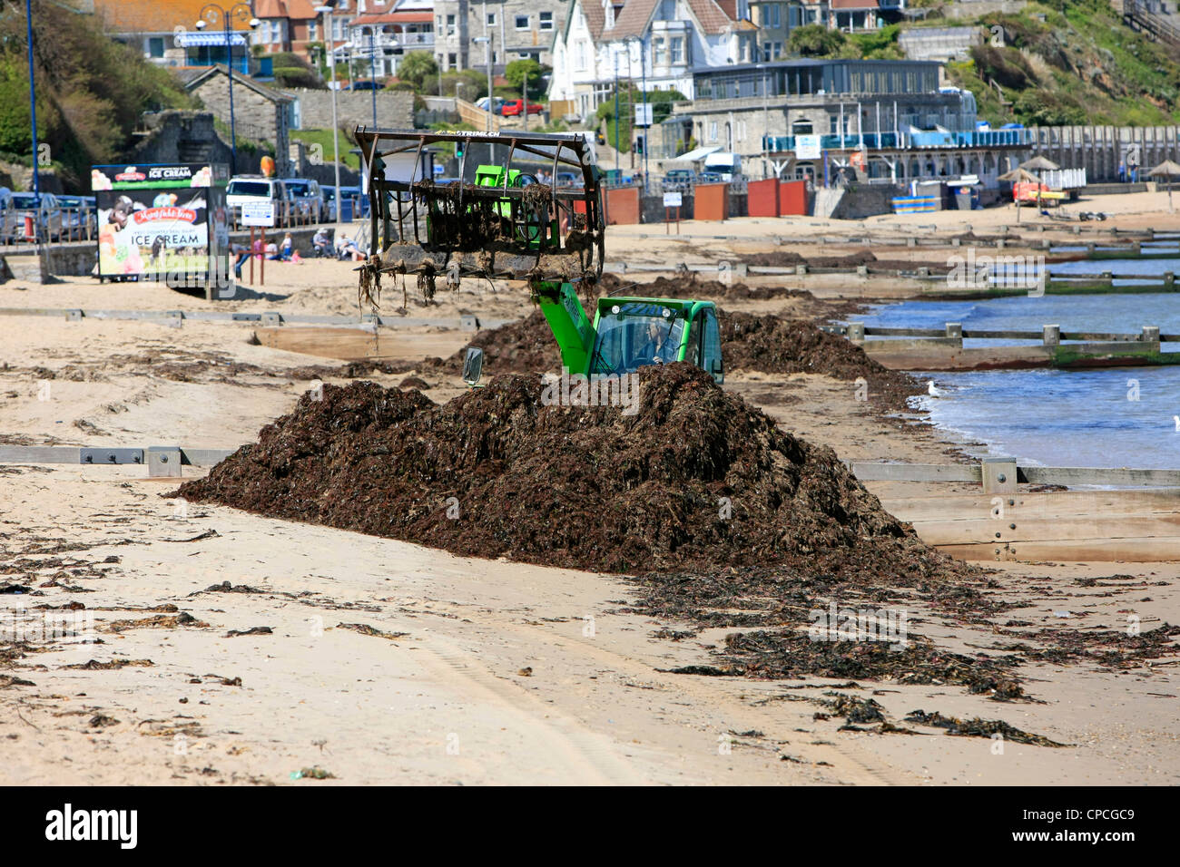 Macchinari pesanti tonnellate di raccolta delle alghe lavato fino sulla spiaggia di Swanage Foto Stock