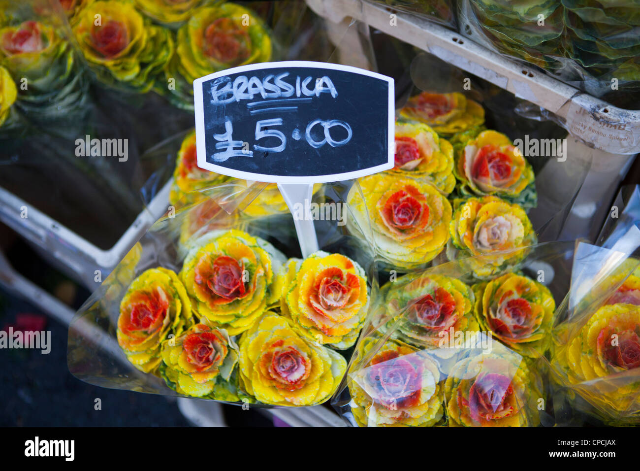 Columbia Road Flower Market Foto Stock