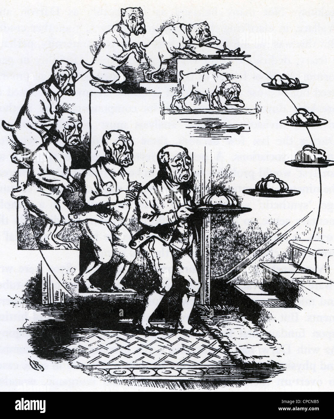 Evoluzione - una vista humorus pubblicato in tempi illustrato in 1863 Foto Stock