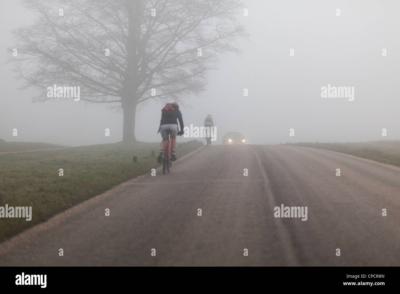 Il traffico e il ciclista in Richmond Park,Richmond Upon Thames,Surrey, Inghilterra Foto Stock