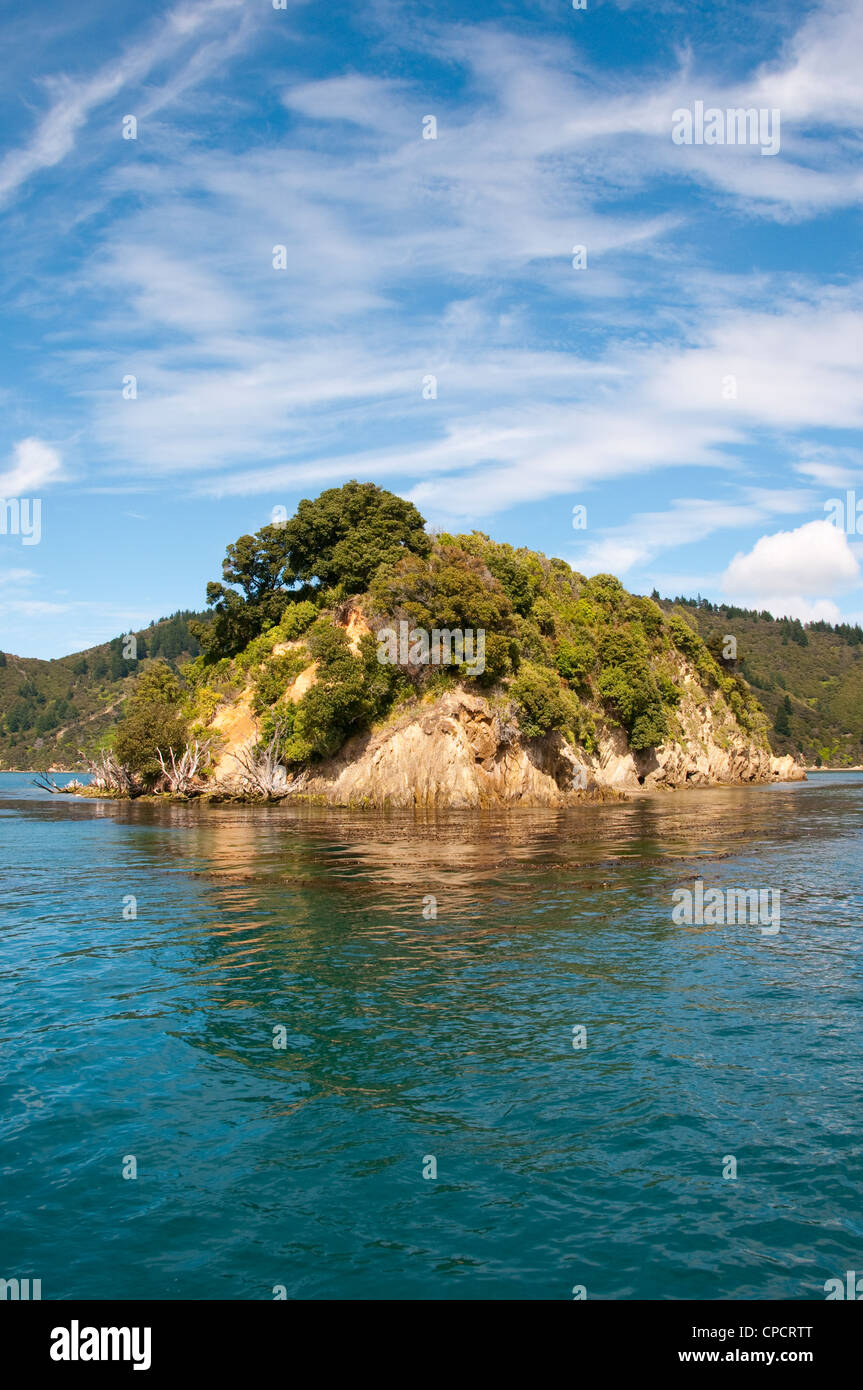 Nuova Zelanda Isola del Sud, Picton paesaggio panoramico in Marlborough Sounds. Foto Stock