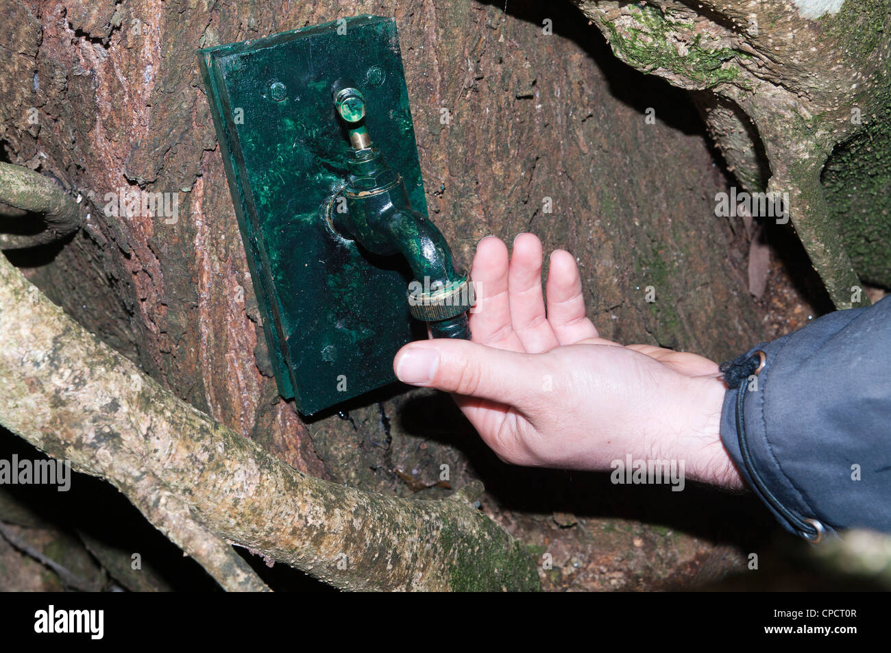Contenitore di geocache 'acqua di rubinetto fontana" trovata nel bosco Foto Stock