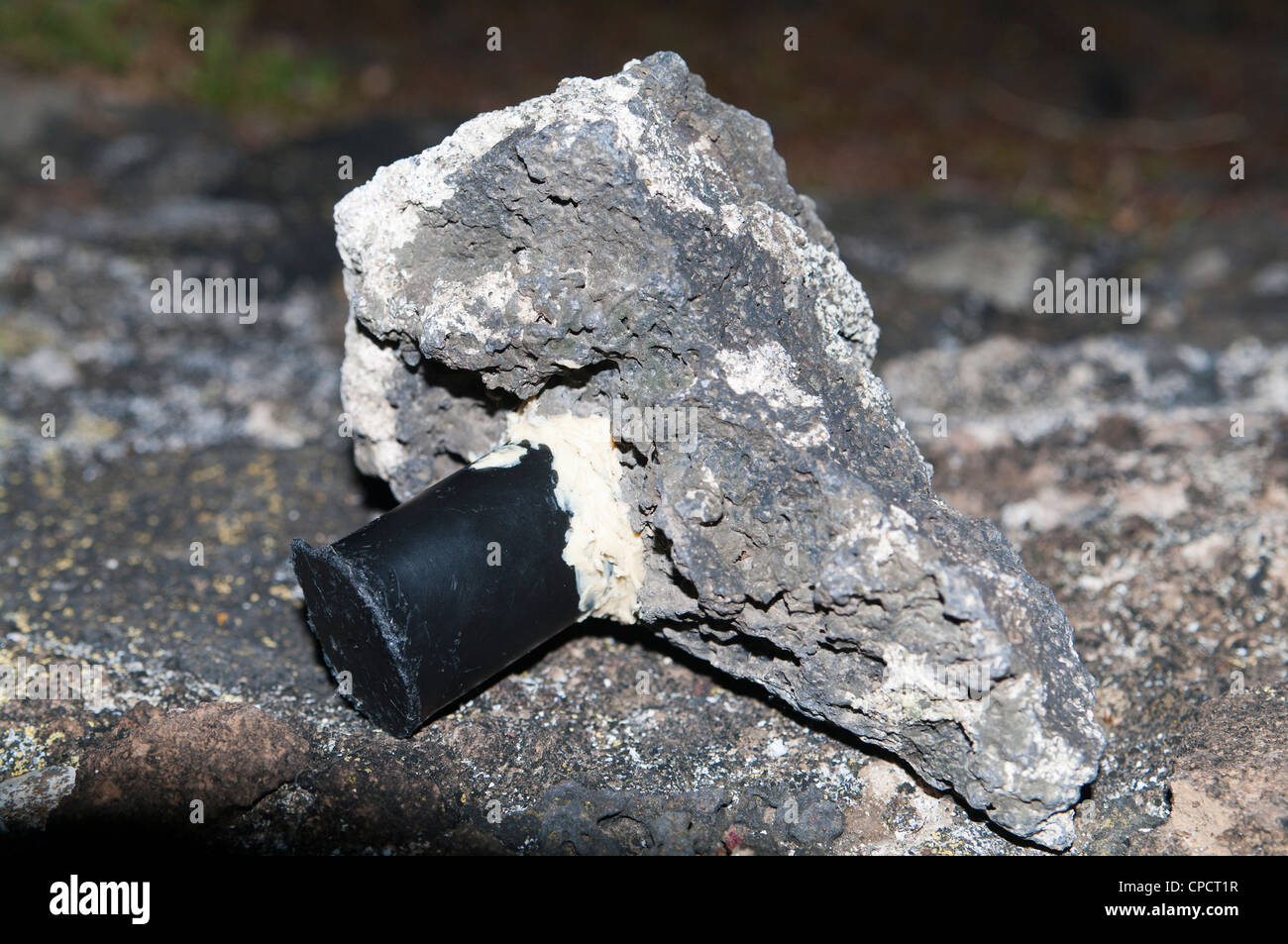 Contenitore di geocache sulla roccia / Pietra (35mm) del canister Foto Stock