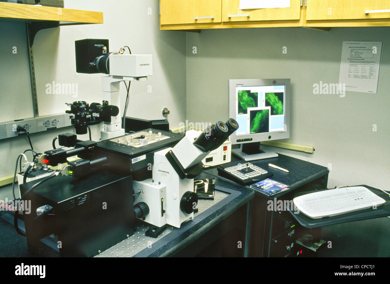 Microscopio confocale immagini e fotografie stock ad alta risoluzione ...