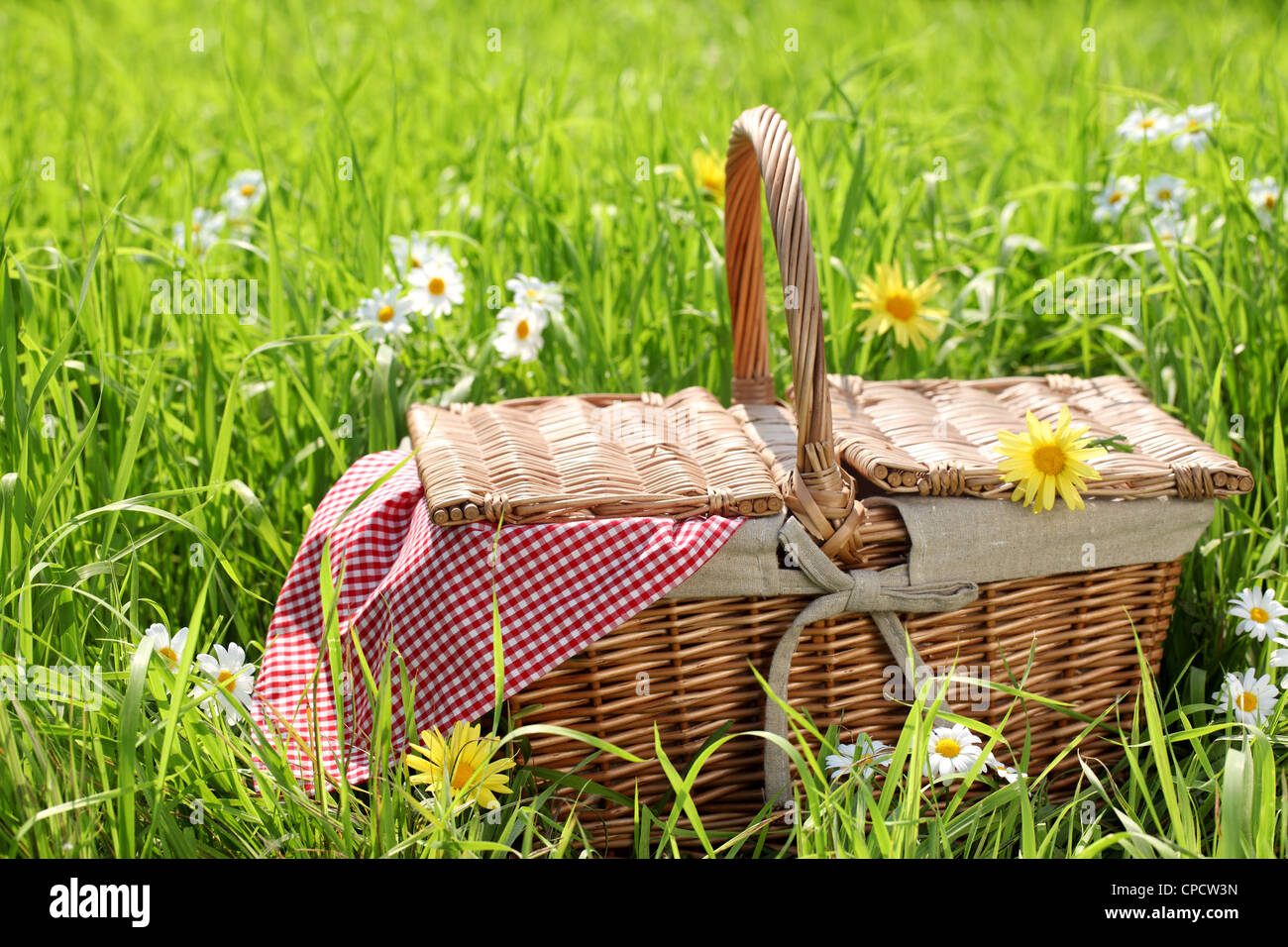 Cesto picnic sul campo in erba Foto Stock