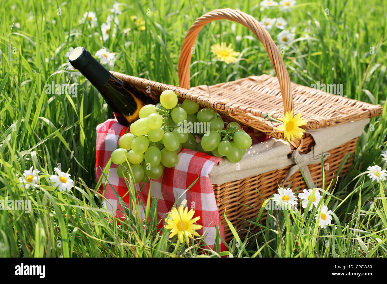 Impostazione di picnic sul prato verde Foto Stock