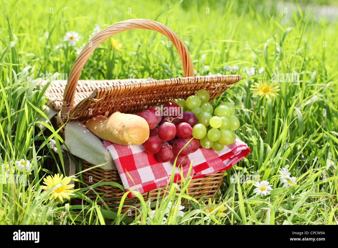 Impostazione di picnic sul prato verde. Foto Stock