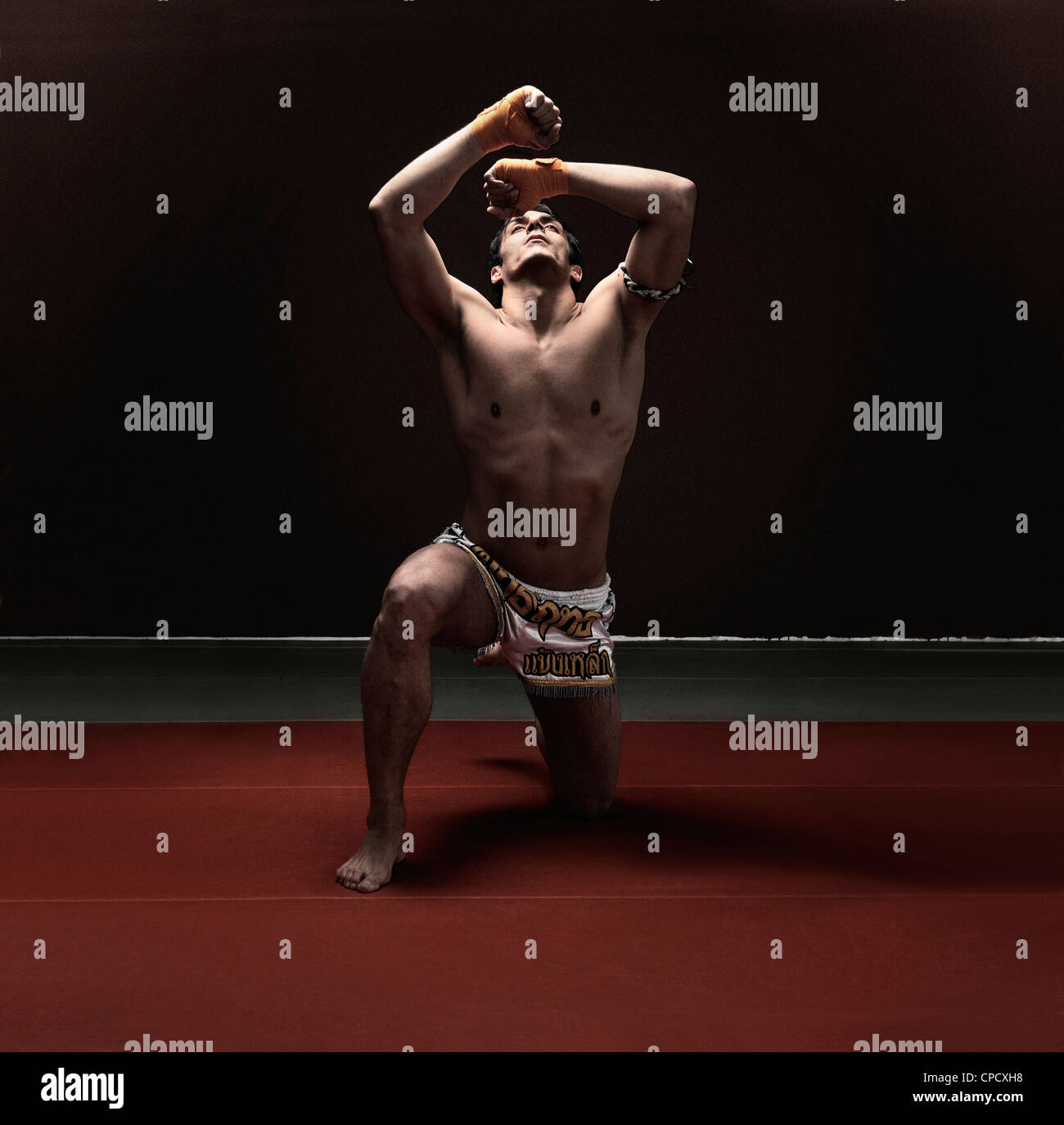 Boxer in ginocchio sul tappetino Foto Stock