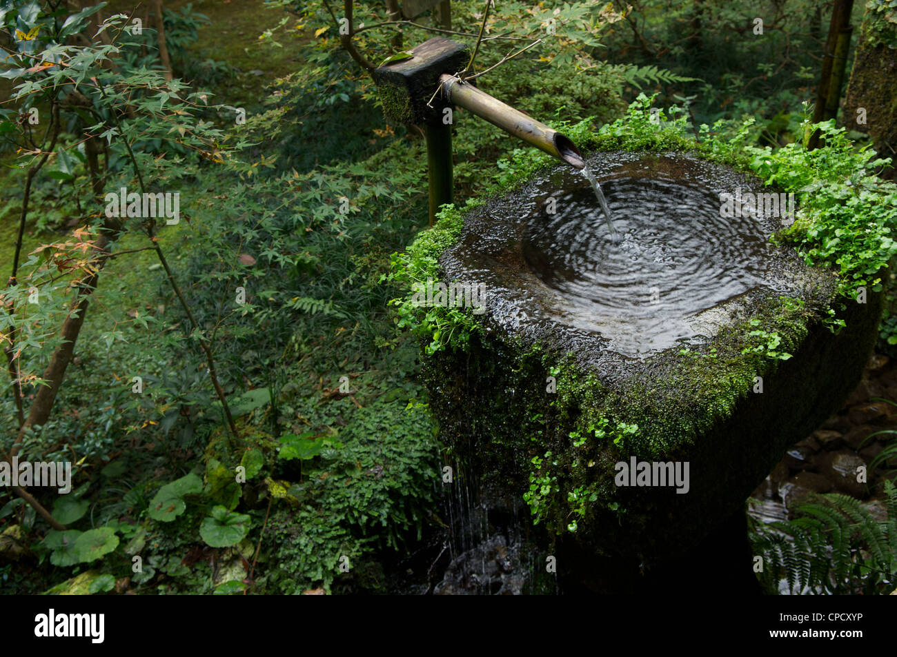In Sanzen, Ohara, Kyoto, Honshu, Giappone Foto Stock