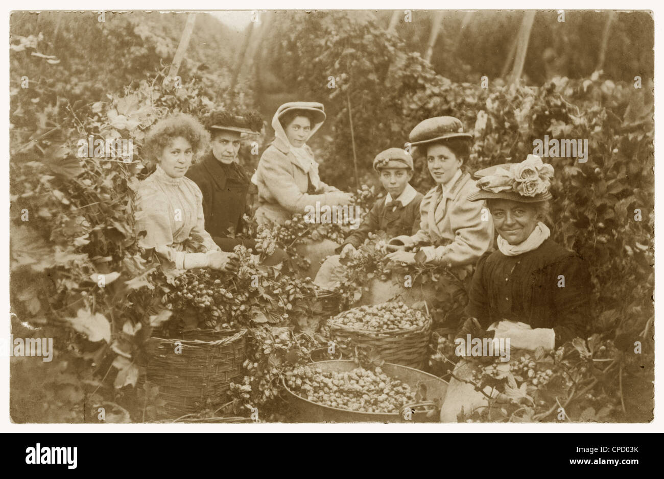 Cartolina edoardiana di luppolo che guarda felice pickers, in vacanza di lavoro, possibilmente in Kent, U.K circa 1905 Foto Stock