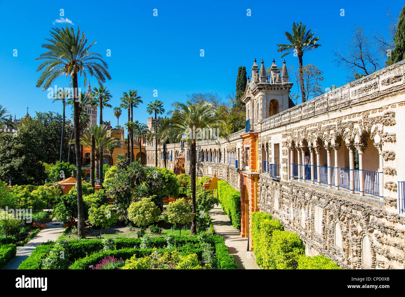Spagna, Andalusia, Siviglia, Barrio Santa Cruz, Alcazar Palace Foto Stock