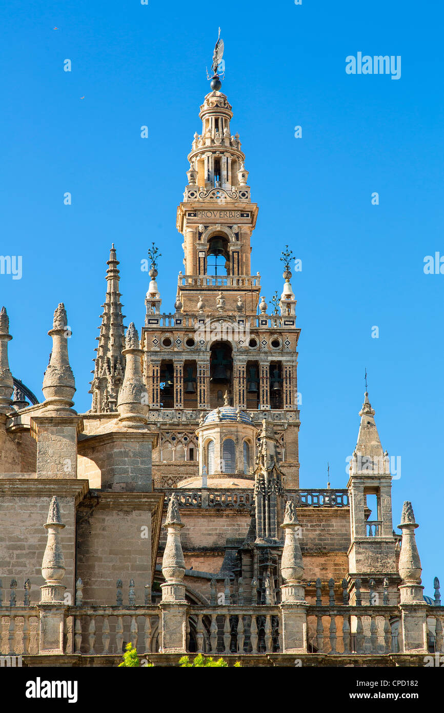 Spagna, Andalusia, Siviglia, La Giralda, la Cattedrale di Siviglia Foto Stock