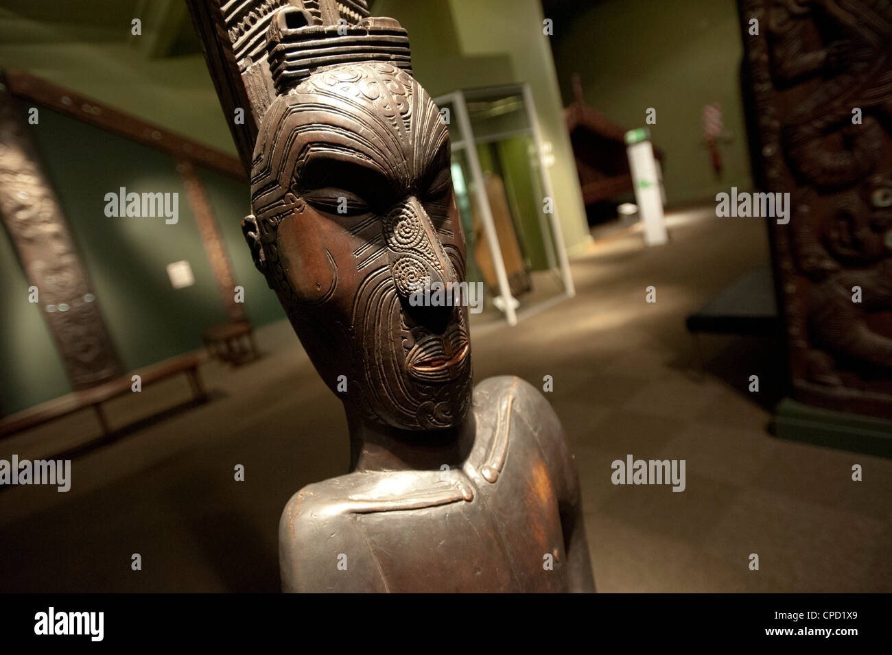 Otago Museum, Dunedin, South Island, in Nuova Zelanda, Pacific Foto Stock