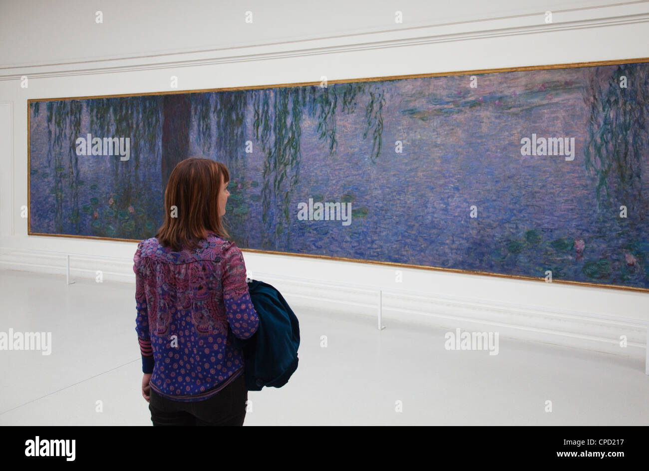 Signora guardando le ninfee di Monet nell'Orangerie Gallery, Parigi, Francia, Europa Foto Stock