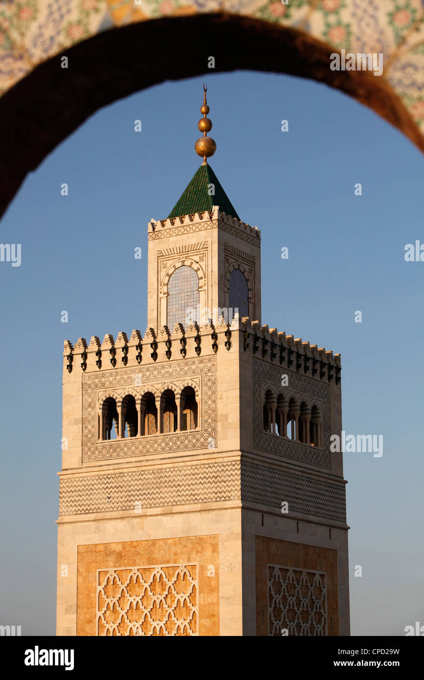 Grande Moschea (Moschea Ezzitouna) minareto, Tunisi, Tunisia, Africa Settentrionale, Africa Foto Stock
