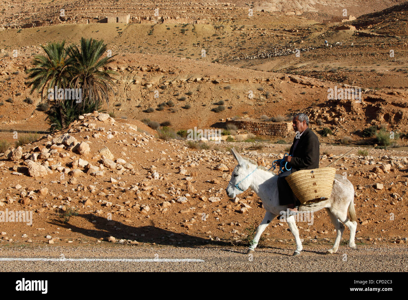Uomo che viaggia su un asino, Douirette, Tataouine, Tunisia, Africa Settentrionale, Africa Foto Stock