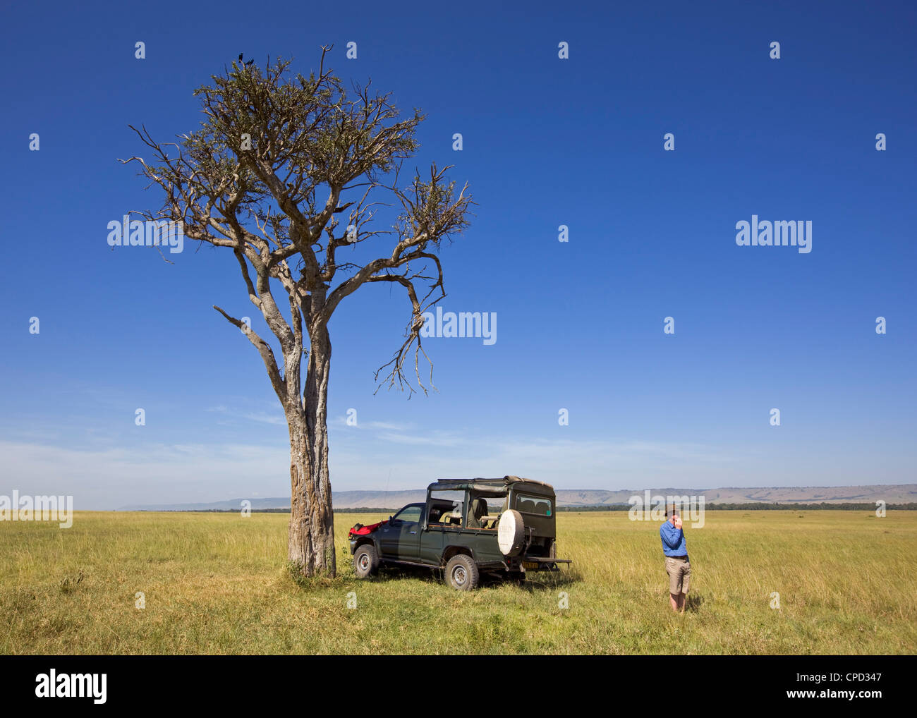 Un tranquillo pic-nic in stop il Masai Mara, Kenya, Africa orientale, Africa Foto Stock