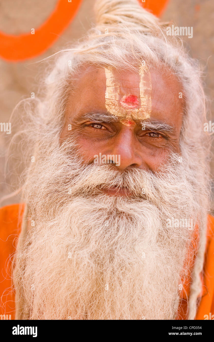 Uomo Santo (Sadhu), Varanasi, Uttar Pradesh, India, Asia Foto Stock