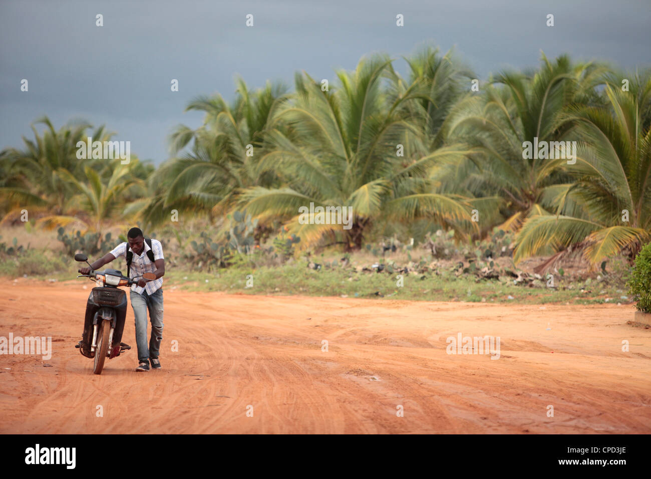 Strada africana, Ouidah, Benin, Africa occidentale, Africa Foto Stock