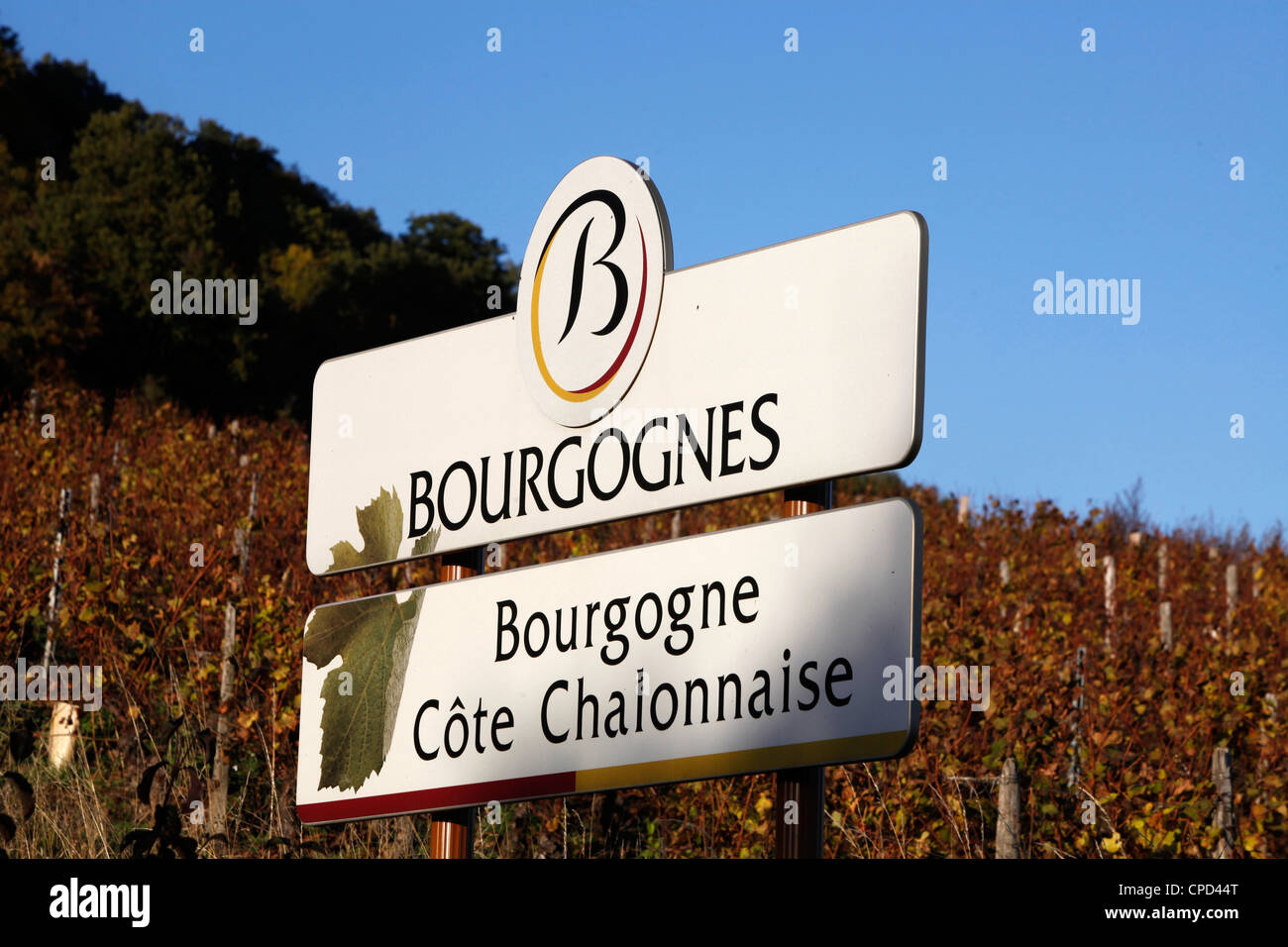 Vigneti di borgogna segno, Culles-les-Roches, Saône-et-Loire, Borgogna, in Francia, in Europa Foto Stock