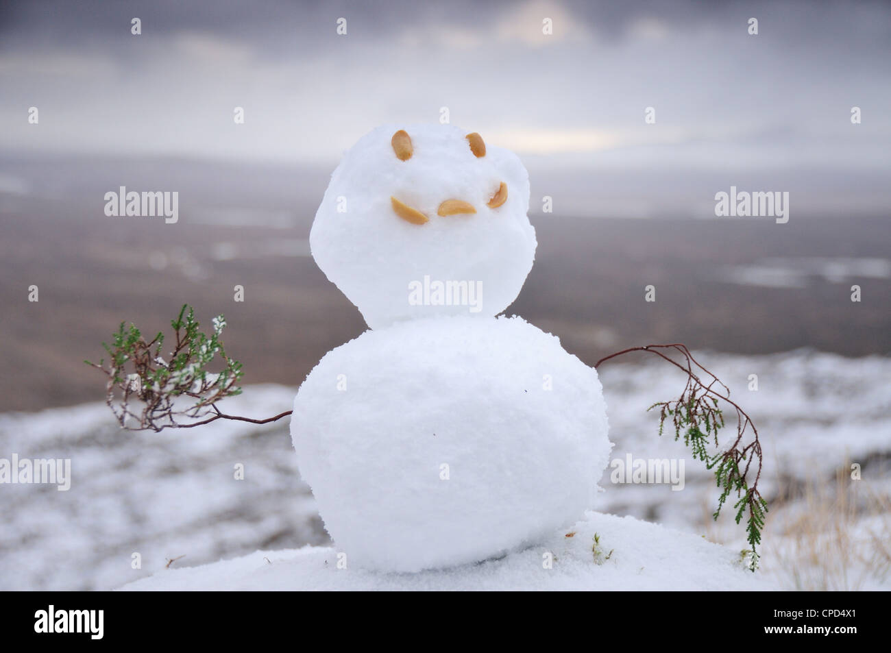 Pupazzo di neve su Beinn un Chrulaiste, Glencoe, Highlands scozzesi Foto Stock