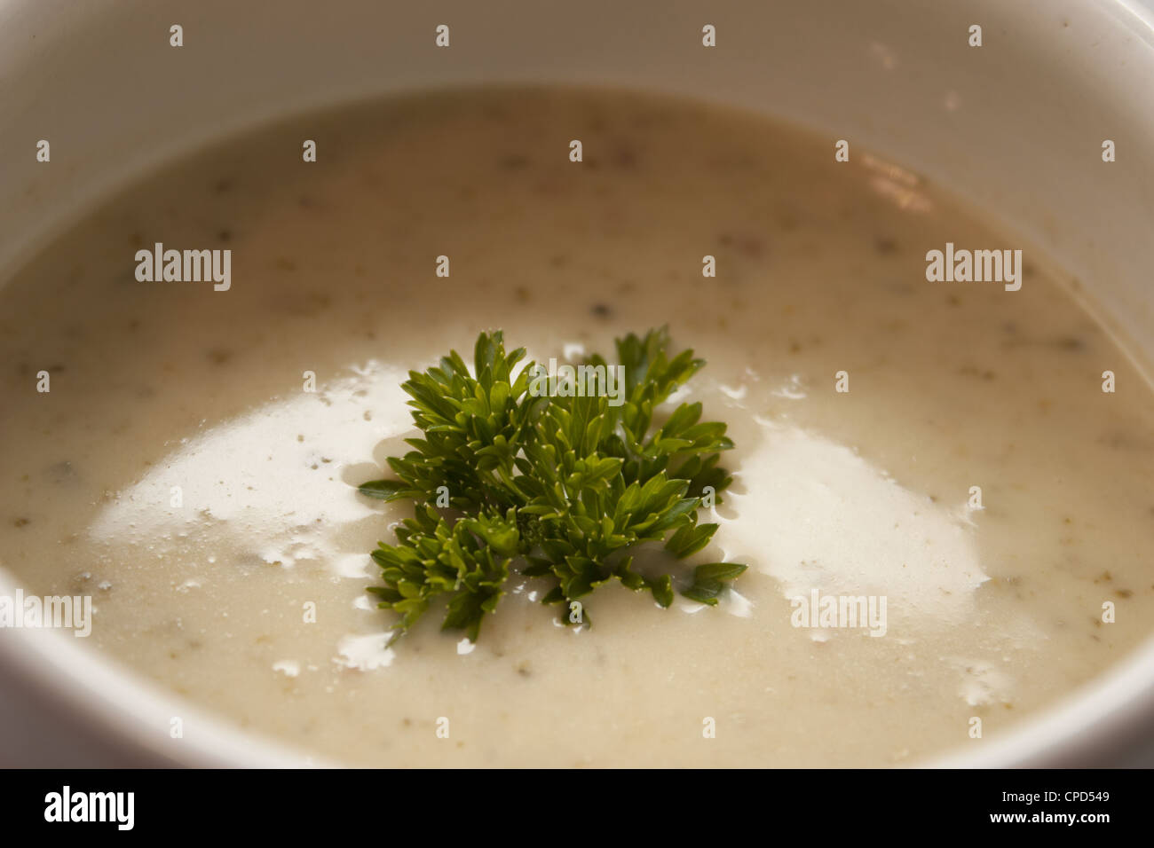 Riprese macro di una deliziosa zuppa gustosa. Foto Stock