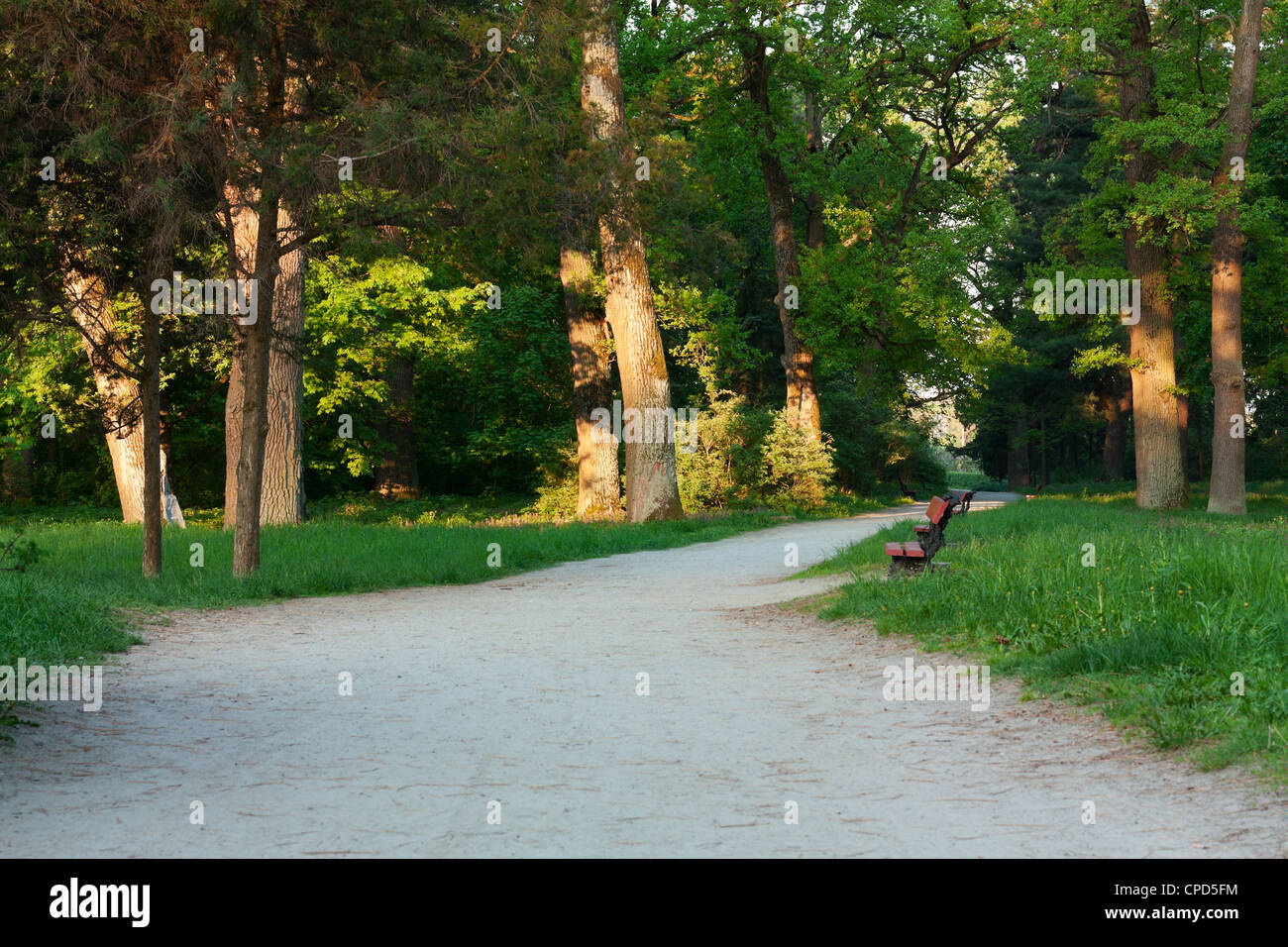 Cancellare l'aria nel parco la mattina Foto Stock