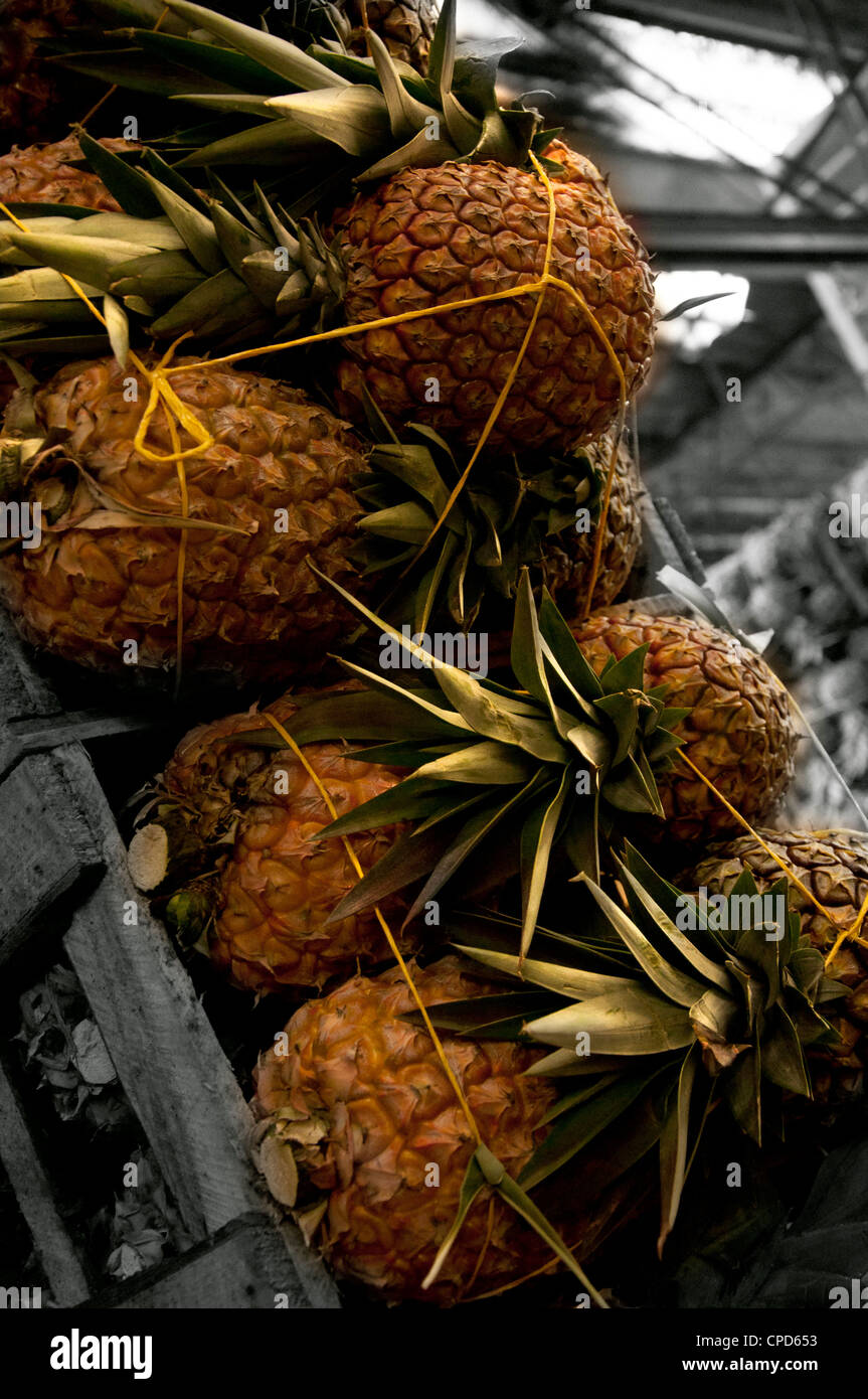 Ananas, mercato marketplace, cesti scatole, insieme, vendite, acquisto, succo, deliziosa Foto Stock
