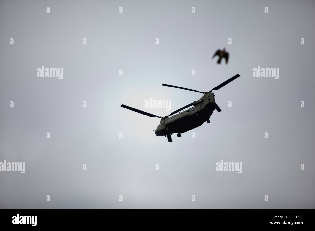 Un elicottero militare volare nel cielo come un uccello vola da Foto Stock