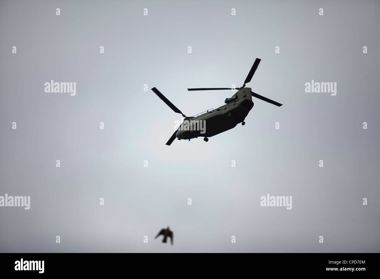 Un elicottero militare volare nel cielo come un uccello vola da Foto Stock