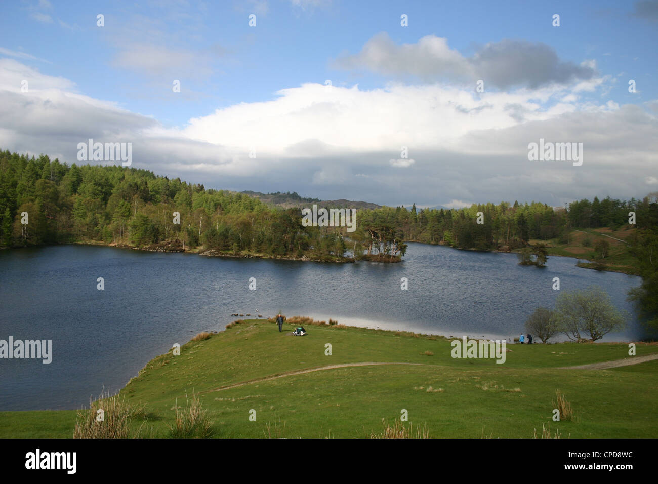 Tarn Hows nel Lake District Inghilterra Foto Stock